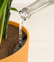 Load image into Gallery viewer, Sunset Orange stand:all
