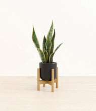 Load image into Gallery viewer, Stone Black stand:bamboo
