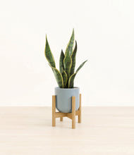 Load image into Gallery viewer, Misty Blue stand:bamboo
