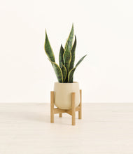 Load image into Gallery viewer, Almond Green stand:bamboo
