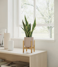 Load image into Gallery viewer, Eternal Gray stand:bamboo
