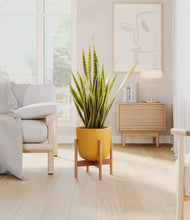 Load image into Gallery viewer, Sunset Orange stand:bamboo

