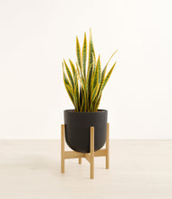 Load image into Gallery viewer, Stone Black stand:bamboo
