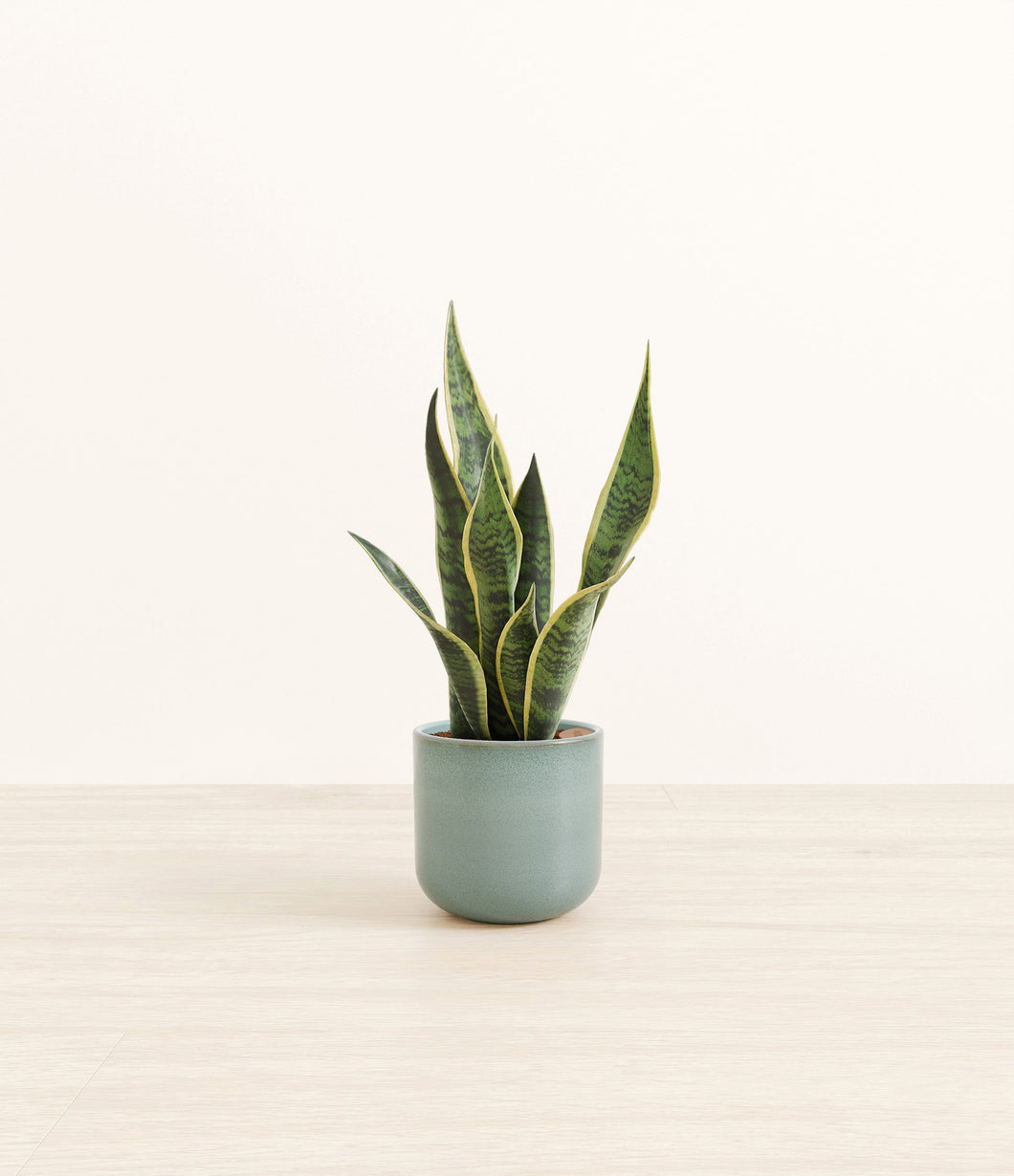 Reactive Aqua*****Profile