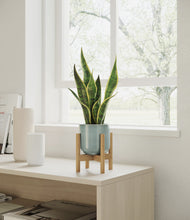 Load image into Gallery viewer, Reactive Aqua stand:bamboo
