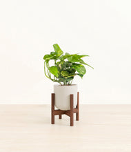 Charger l'image dans la galerie, Natural Bamboo stand:dark
