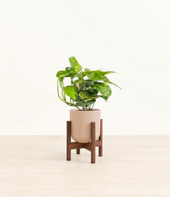 Charger l'image dans la galerie, Sandy Pink stand:dark
