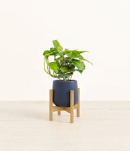 Charger l'image dans la galerie, Deep Navy stand:light
