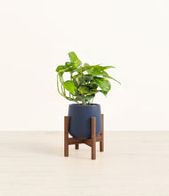 Charger l'image dans la galerie, Deep Navy stand:dark
