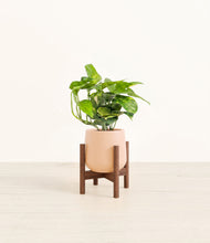 Charger l'image dans la galerie, Gentle Pink stand:dark
