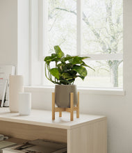 Load image into Gallery viewer, Olive stand:bamboo

