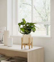 Load image into Gallery viewer, Almond Green stand:bamboo
