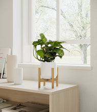 Load image into Gallery viewer, White stand:bamboo
