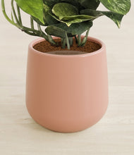 Charger l'image dans la galerie, Calm Rose stand:all
