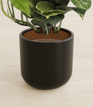 Load image into Gallery viewer, Stone Black stand:all
