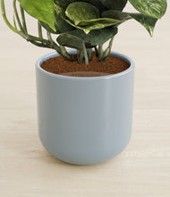 Load image into Gallery viewer, Misty Blue stand:all
