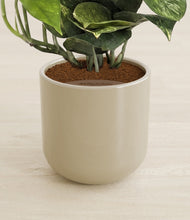Load image into Gallery viewer, Sage Green stand:all
