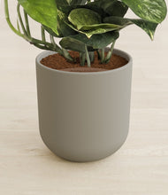 Lade das Bild in den Galerie-Viewer, Sage Green stand:all
