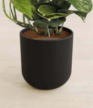 Lade das Bild in den Galerie-Viewer, Stone Black stand:all
