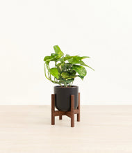 Lade das Bild in den Galerie-Viewer, Stone Black stand:dark
