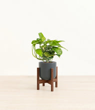 Lade das Bild in den Galerie-Viewer, Iron Gray stand:dark
