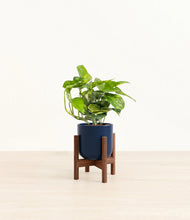 Lade das Bild in den Galerie-Viewer, Twilight Blue stand:dark
