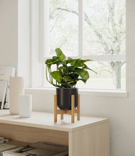 Lade das Bild in den Galerie-Viewer, Stone Black stand:light
