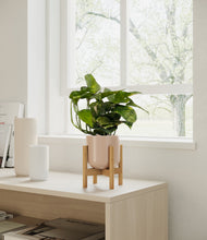 Load image into Gallery viewer, Sandy Pink stand:all
