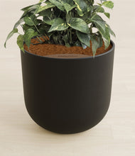 Load image into Gallery viewer, Stone Black stand:all
