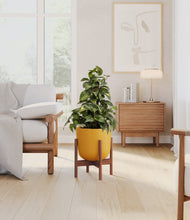 Load image into Gallery viewer, Sunset Orange stand:walnut

