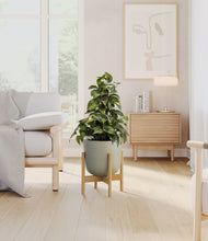 Load image into Gallery viewer, Sage Green stand:bamboo

