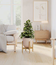Load image into Gallery viewer, Sandy Pink stand:bamboo
