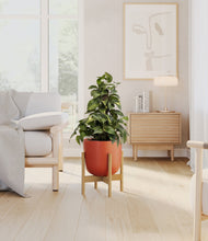 Load image into Gallery viewer, Earth Red stand:bamboo
