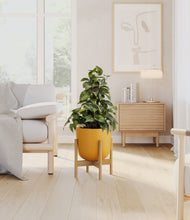 Load image into Gallery viewer, Sunset Orange stand:bamboo
