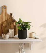 Lade das Bild in den Galerie-Viewer, Stone Black
