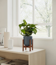 Lade das Bild in den Galerie-Viewer, Iron Gray stand:walnut
