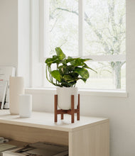 Lade das Bild in den Galerie-Viewer, Natural Bamboo stand:walnut
