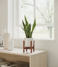 Load image into Gallery viewer, Hammered Ivory stand:walnut
