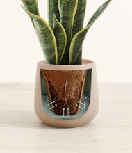 Load image into Gallery viewer, Eternal Gray stand:all
