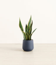 Load image into Gallery viewer, Deep Navy*****Profile
