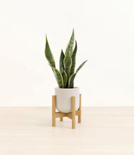 Load image into Gallery viewer, Snowdrift White stand:bamboo
