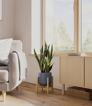 Load image into Gallery viewer, Deep Navy stand:bamboo
