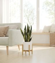 Load image into Gallery viewer, White stand:bamboo
