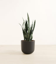 Load image into Gallery viewer, Stone Black*****Profile
