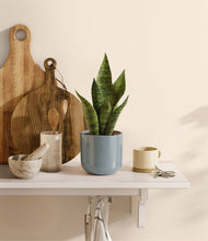 Load image into Gallery viewer, Misty Blue
