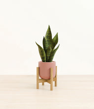 Load image into Gallery viewer, Striped Rose Pink stand:bamboo
