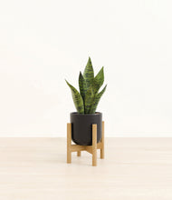 Load image into Gallery viewer, Stone Black stand:bamboo
