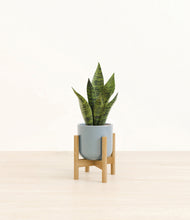Load image into Gallery viewer, Misty Blue stand:bamboo
