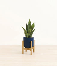 Load image into Gallery viewer, Twilight Blue stand:bamboo
