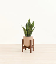Load image into Gallery viewer, Glossy Pink stand:walnut
